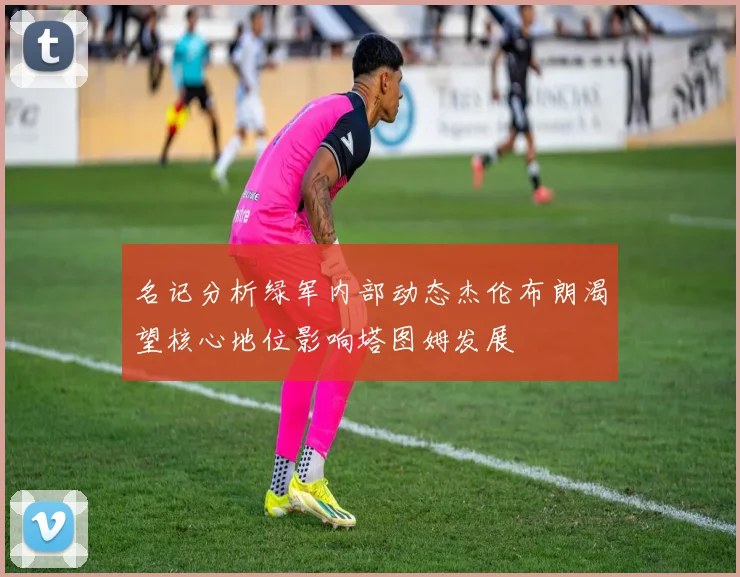 名记分析绿军内部动态杰伦布朗渴望核心地位影响塔图姆发展