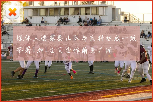媒体人透露泰山队与瓦科达成一致签署1加1合同合作前景广阔